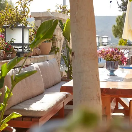 מלון Alabora אלאקאטי